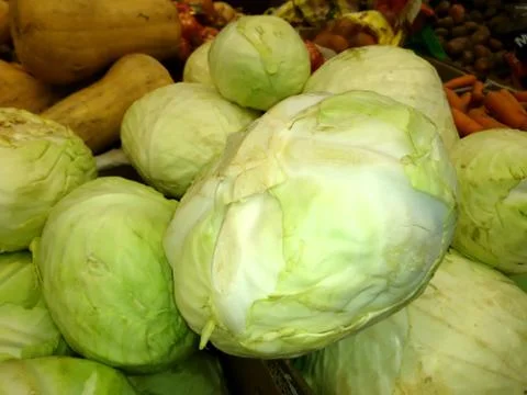 Fresh cabbage close-up Stock Photos