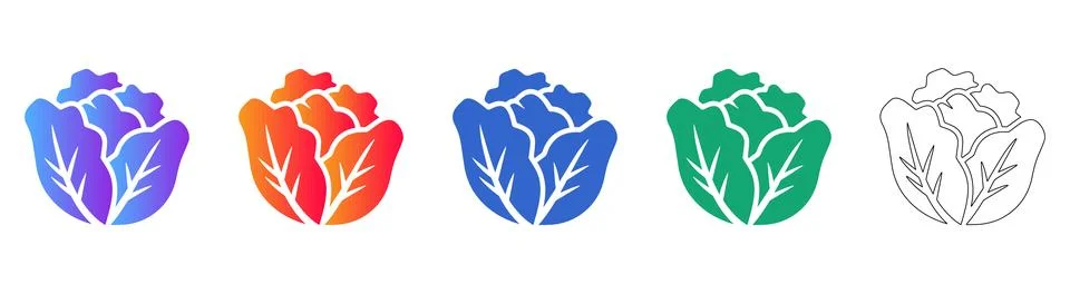 Fresh Cabbage Head Icon Set Stock Illustration
