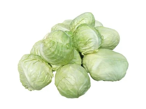 Fresh cabbage isolated on white background Stock Photos