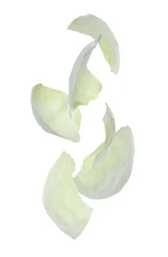 Fresh cabbage leaves falling on white background Stock Photos