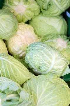 Fresh cabbage Stock Photos