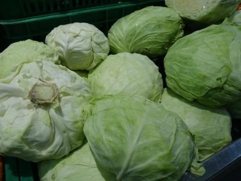 Fresh cabbage Stock Photos
