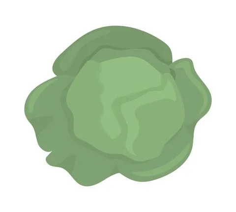 Fresh cabbage semi flat color vector object Ilustración de archivo