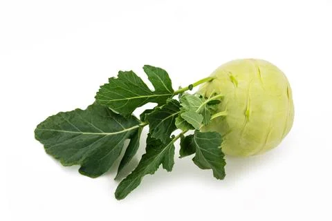 Fresh Cabbage turnip Stock Photos