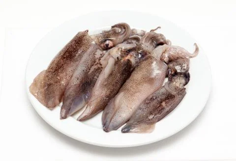 Fresh calamari Stock Photos