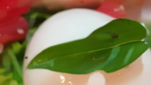 Fresh Caprese appetizer showcasing sliced tomatoes, creamy mozzarella, and .. Stock Footage 336468486