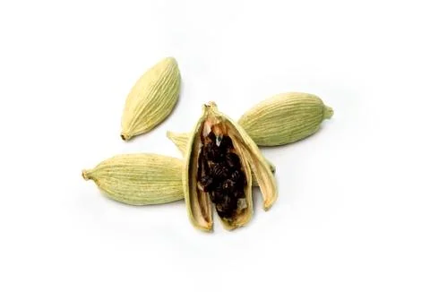 Fresh Cardamom Stock Photos