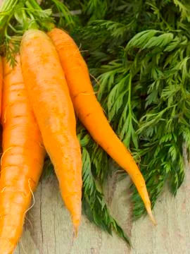 Fresh carots Stock Photos