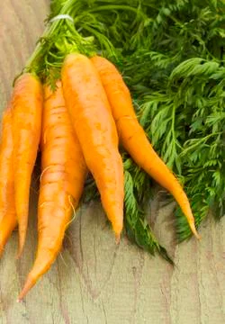 Fresh carots Stock Photos