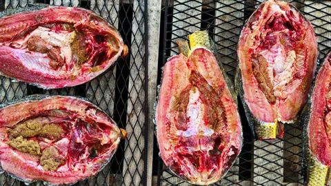 Fresh Carp Fish Split Open and Seasoned with Spices on Metal Grill Rack for Stock Footage 336781834