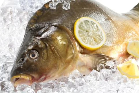 Fresh carp with lemon Stock Photos