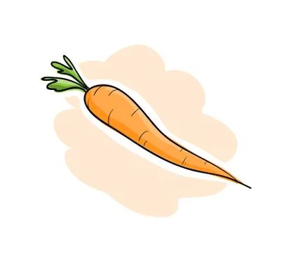 Fresh Carrot Stock Illustration