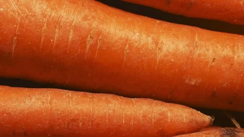 Fresh Carrot Texture Background Stock Footage 339230335