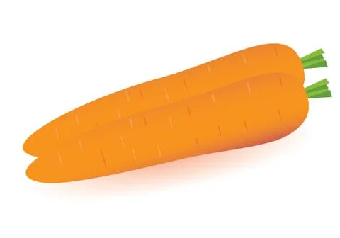 Fresh carrot on white background Stock Illustration
