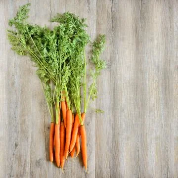 Fresh carrots background Stock Photos