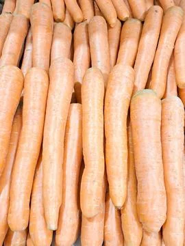Fresh Carrots on Display Stock Photos