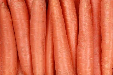 Fresh carrots forming a background Stock Photos
