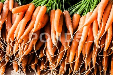 Fresh carrots at the local market Stock Photos