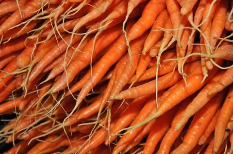 Fresh carrots Stock Photos
