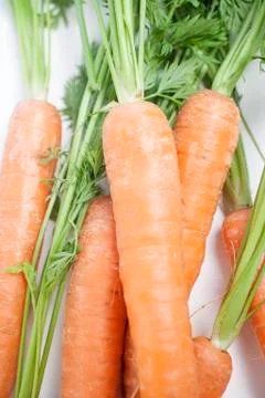 Fresh carrots 写真素材
