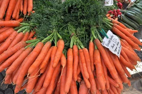 Fresh carrots Stock Photos