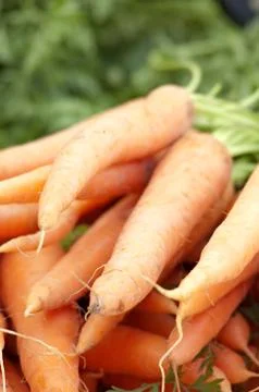 Fresh carrots Stock Photos