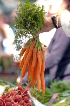 Fresh carrots Stock Photos