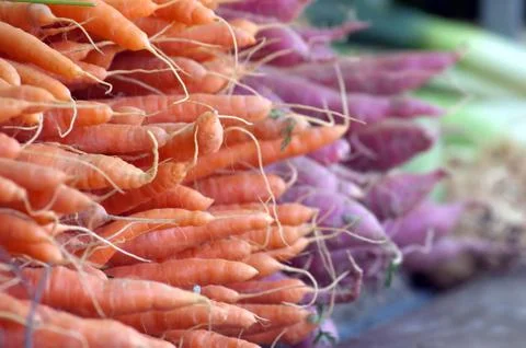 Fresh carrots Stock Photos