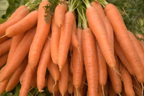 Fresh carrots Stock Photos