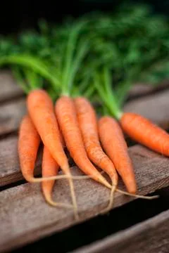 Fresh carrots Stock Photos