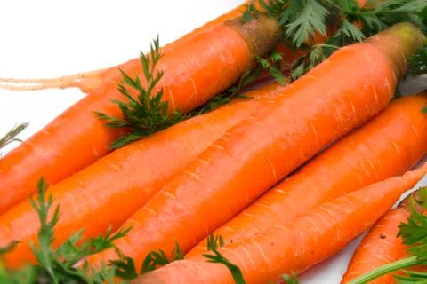 Fresh carrots Stockfoto's