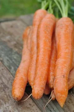 Fresh carrots Stock Photos