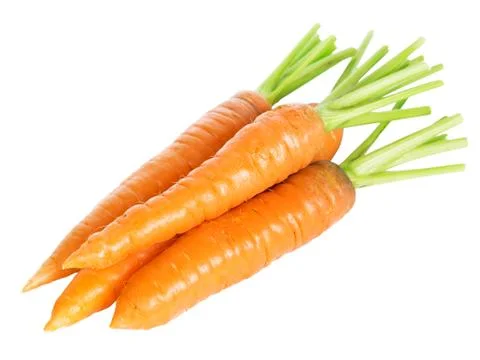 Fresh carrots Stock Photos