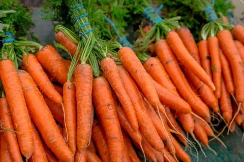 Fresh carrots Stock Photos
