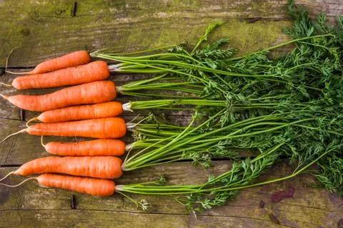 Fresh carrots on a rustic background 写真素材