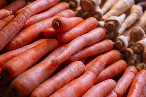 Fresh carrots stack of vegetables whole root vegetables background Stock Photos