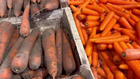 Fresh carrots in supermarket Stock Footage 337136566