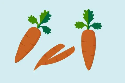 Fresh Carrots Vector Illustration Stock Illustration