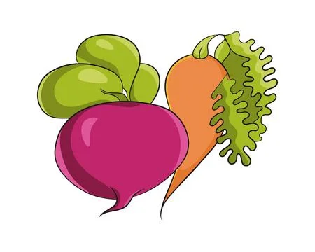 Fresh cartoon vector illustration of a beetroot and a carrot. Vibrant colors  Stock Illustration