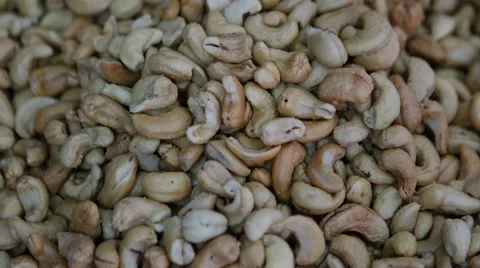 Fresh cashew nuts Stock Footage 55995800
