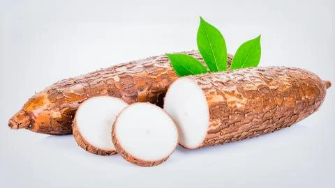 Fresh Cassava Root Isolated on White Background, Manihot esculenta Tropical.. Stock Photos