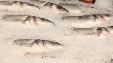 Fresh catch displayed on ice at a bustling fish market in a coastal city Stock-Footage 296148325