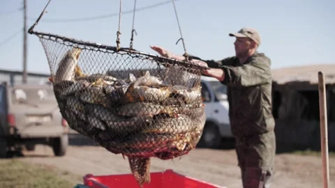 Fresh catch of fish in a net. Stock Footage 322121329