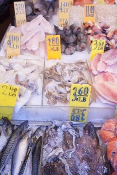 Fresh catch. Foto stock