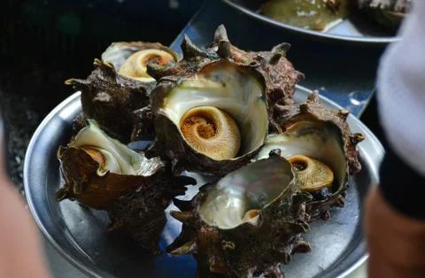 Fresh Catch Foto stock