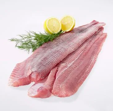 Fresh catfish fillets Stock Photos