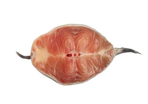 Fresh catfish sliced on white background Stock-Fotos