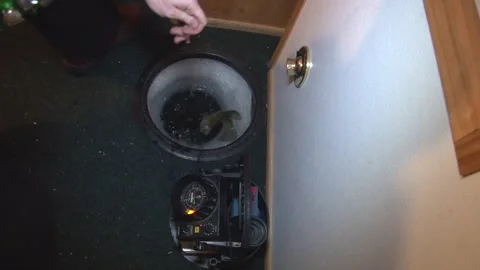 Fresh Caught Live Fish Flopping In Ice Hole. Ice Fishing With Innovative Stock Footage 201480652