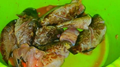 Fresh Caught Sea Fish in Baking Pan Ready for Frying Stock Photos