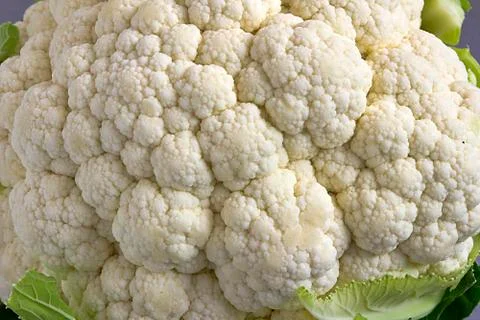 Fresh cauliflower Stock Photos